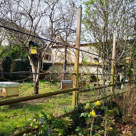 Villa Le Cloky Thomery Kültér fotó